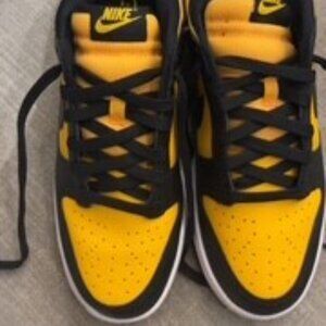 Brand New Nike Dunk Low